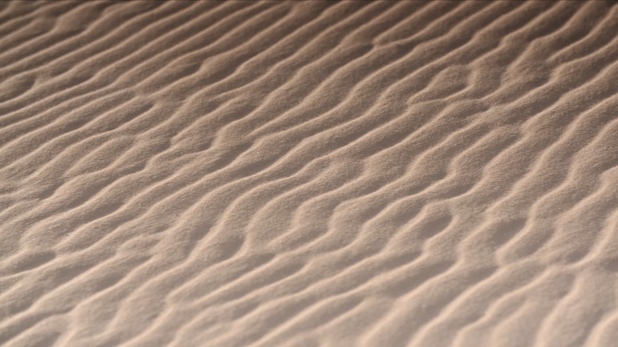 Connected — Netflix