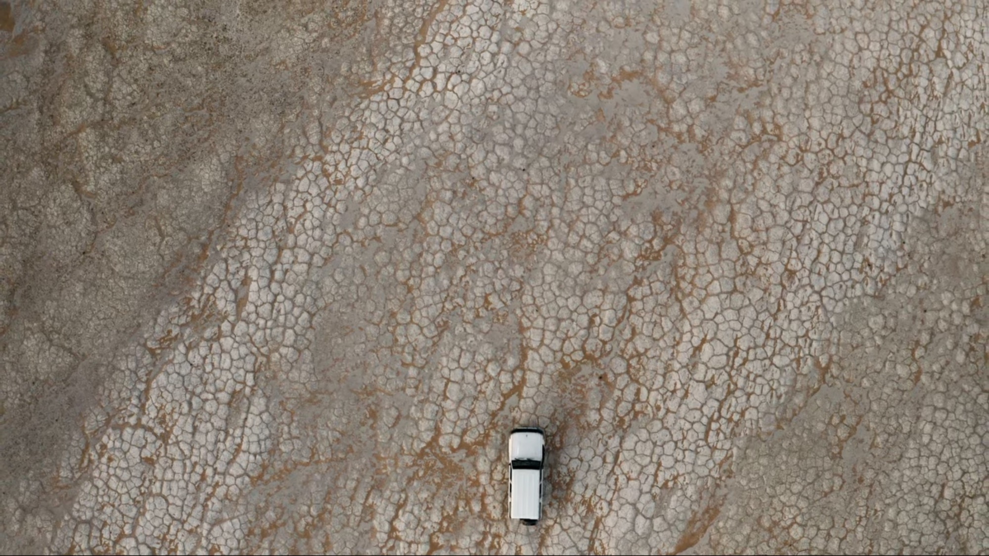 Connected — Netflix